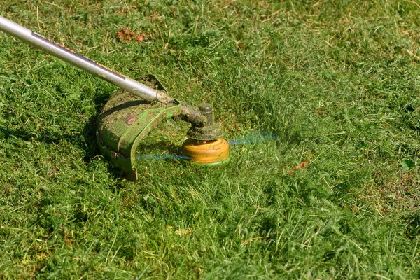 Çim Biçme Makinesi Yeşil Çim Biçme Makinesinde — Stok fotoğraf