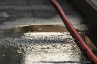 Hortum bitkileri sulamak için kırmızıdır. Çukurdan su akıyor.