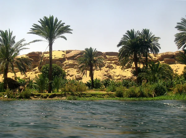 Der Nil und Palmen ll — Stockfoto