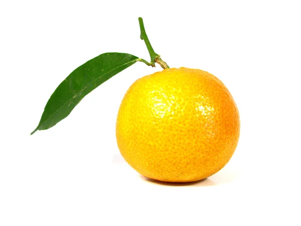 Één tangerine — Stockfoto