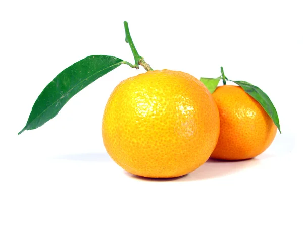 Two Tangerine — Stock Photo, Image
