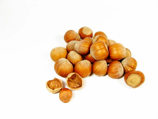 Hazelnut isolated — Stock Photo, Image