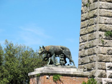 dişi kurt beslenme romulus ve remus