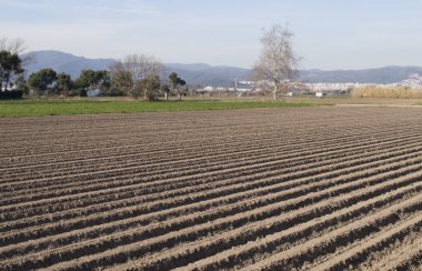 taze sürülmüş tarım alanı
