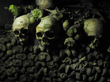 insan kafatasları ve kemikleri catacombs Paris