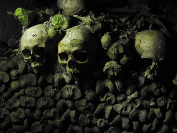 insan kafatasları ve kemikleri catacombs Paris