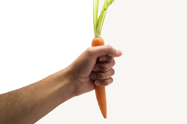 Hombre sosteniendo una zanahoria — Foto de Stock