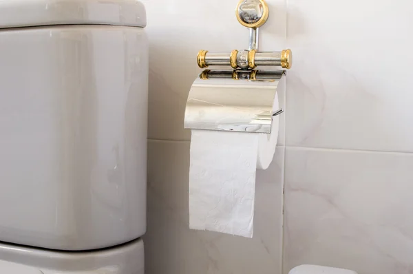 Toilet gray and toilet paper — Stock Photo, Image