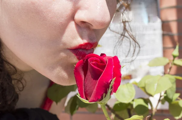 Femme embrassant une rose rouge — Photo