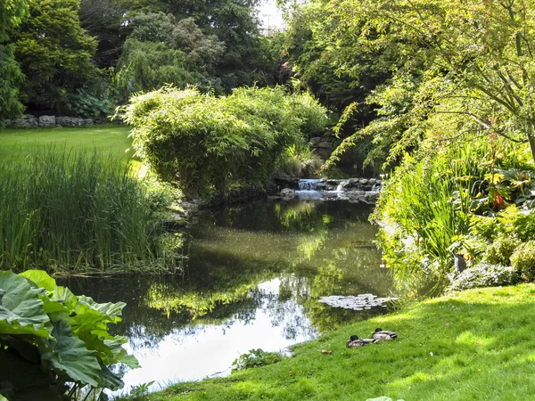 Green Park en Londres — Foto de Stock