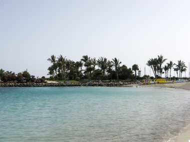 ve palm Beach