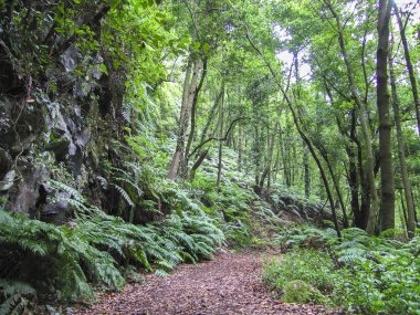 La palma, canary Islands hiking