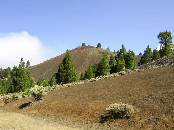 Away view of a volcano on cumbre vieja — Stock Photo, Image