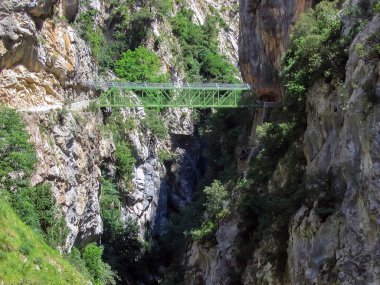 Avrupa Nehri yürüyüş doruklarına umurunda