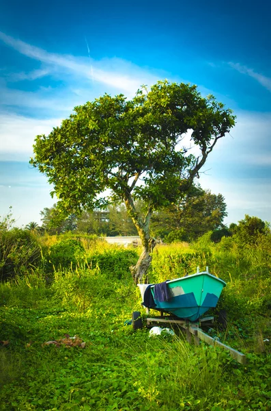 One tree with one stranded boat — Stock Photo, Image