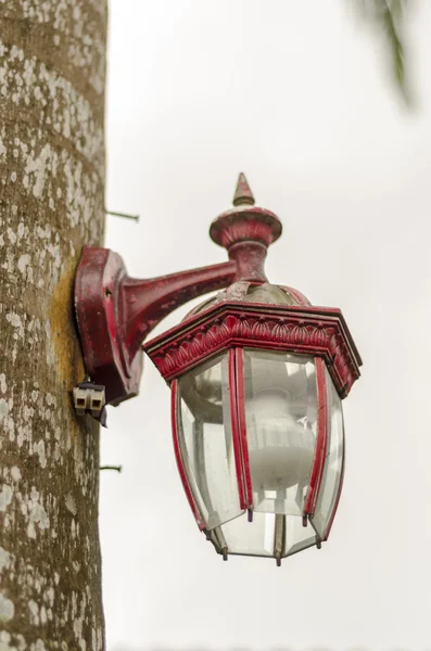 Classic Lamp on the tree — Stock Photo, Image