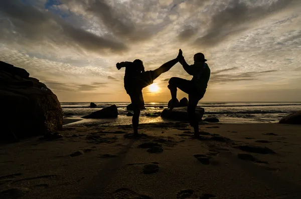 Muay Tay vs capoeira