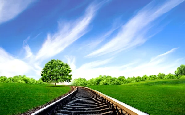 Ferrocarril en el campo verde — Foto de Stock