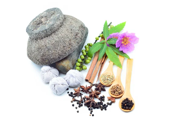 Mortar and fresh herbs — Stock Photo, Image