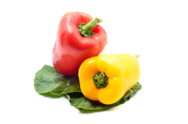 Colored bell peppers — Stock Photo, Image