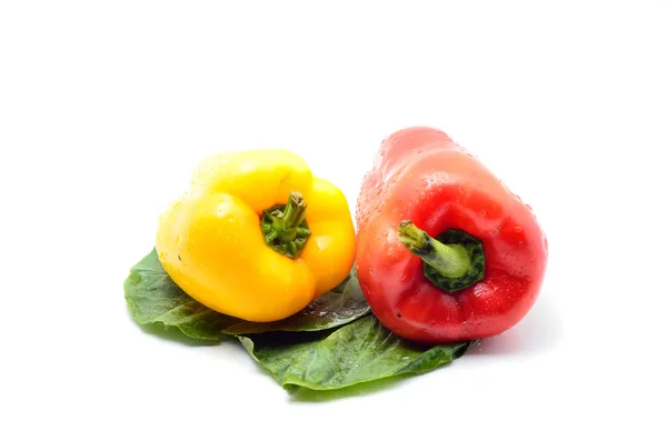 Colored bell peppers — Stock Photo, Image