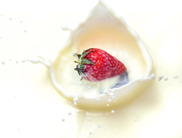 Вкусная клубника брызгает в молоко — стоковое фото