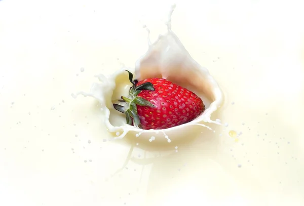 Delicious strawberry splashing into milk — Stock Photo, Image