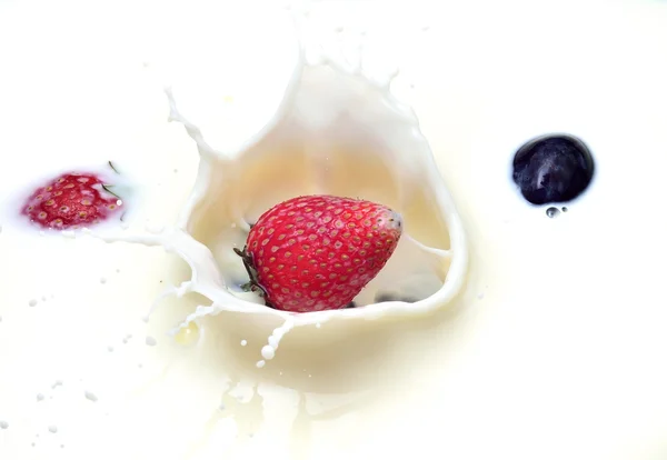 Delicious strawberry splashing into milk — Stock Photo, Image