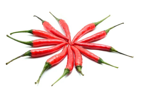 Pimientos chile rojo — Foto de Stock