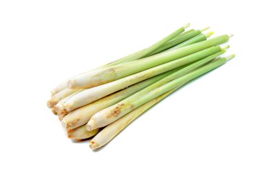 Beyaz arkaplanda izole edilmiş limon otu