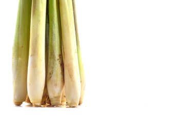 Beyaz arkaplanda izole edilmiş limon otu