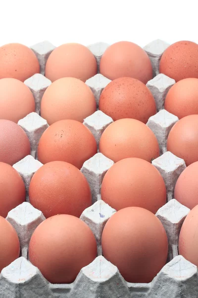 Huevos en bandeja de papel — Foto de Stock