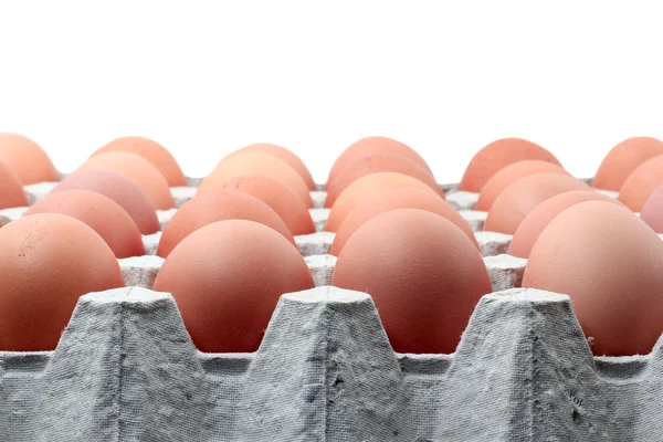 Huevos en bandeja de papel — Foto de Stock