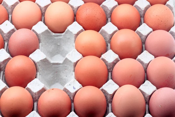 Huevos en bandeja de papel —  Fotos de Stock