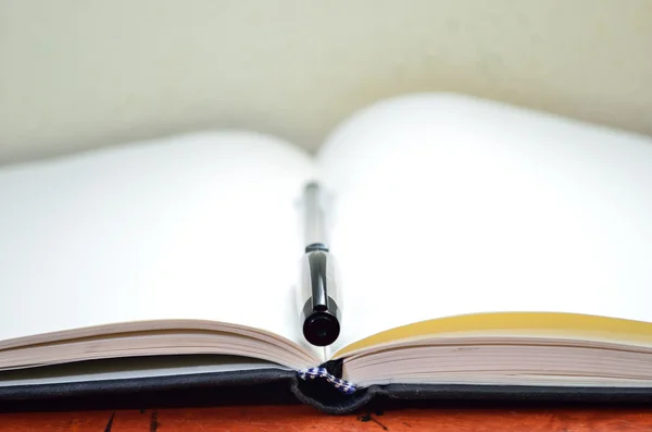 Pluma en el libro — Foto de Stock