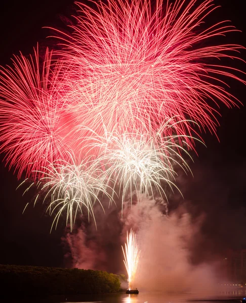 Fuegos artificiales coloridos. Los fuegos artificiales son una clase de explosivos pirotécnicos — Foto de Stock