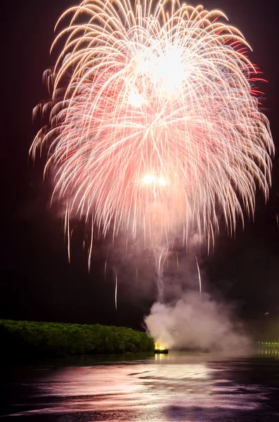 Fuegos artificiales coloridos. Los fuegos artificiales son una clase de explosivos pirotécnicos — Foto de Stock