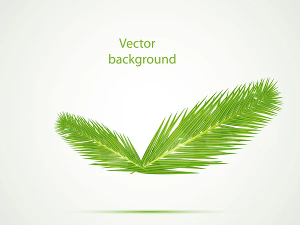 Fond de Noël vectoriel — Image vectorielle