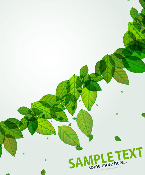 зеленые листья фона