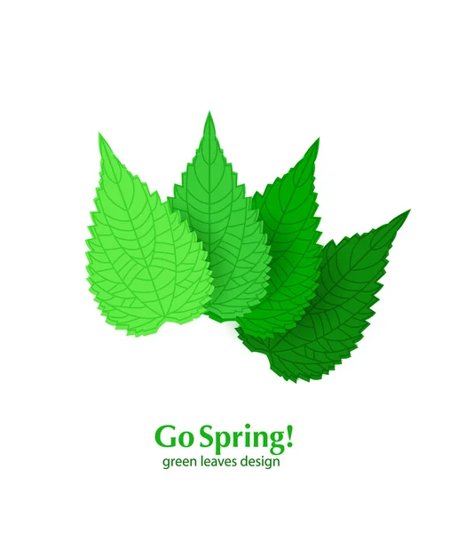 Green leaves spring background — Stock Vector