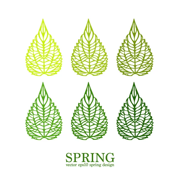 Isolierte grüne Blätter minimalistisch — Stockvektor
