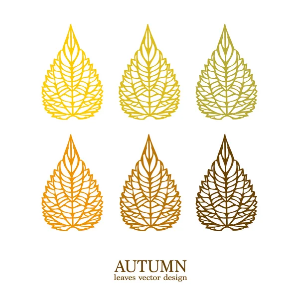 Autumn vector leaves — Stock Vector