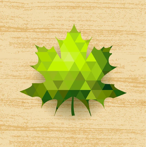 Hoja de arce verde — Vector de stock