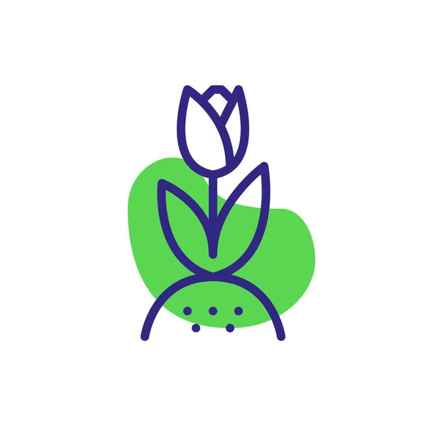 Growing tulip spring flower icon. Pixel perfect, editable stroke, color — Stock Vector
