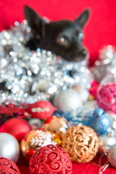 Kerstmis Stockfoto