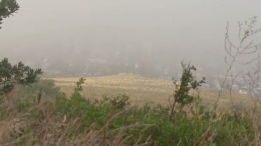 Tablo dağ doğa