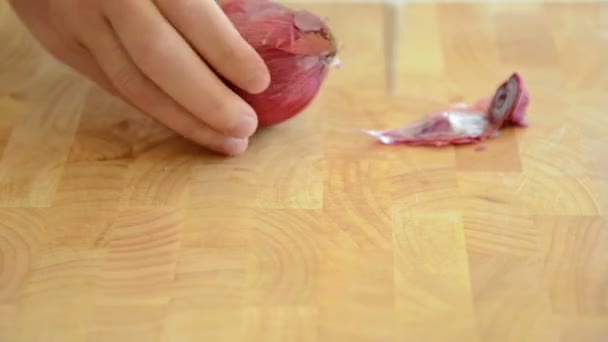 Cutting onion — Stock Video