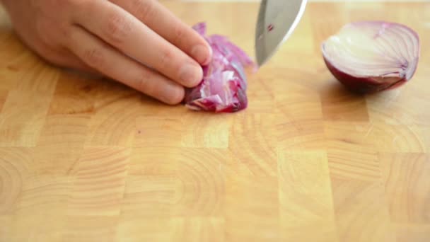 Cutting onion — Stock Video