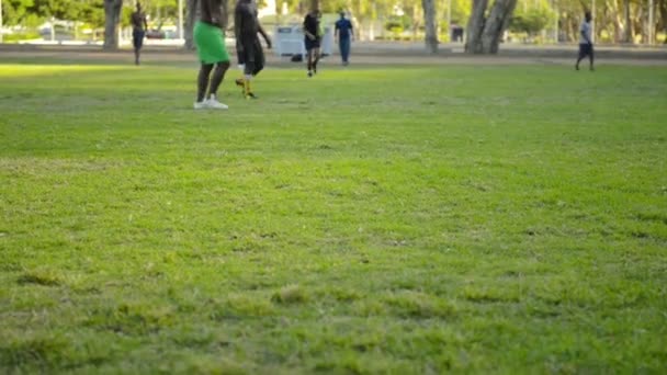 Juego de fútbol — Vídeo de stock