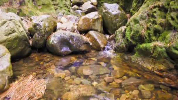 阿甘的河流 — 图库视频影像